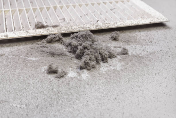 Best Air Duct Cleaning Near Me  in Schler Park, IL