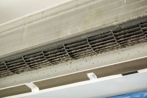 Best Affordable Duct Cleaning Services  in Schler Park, IL