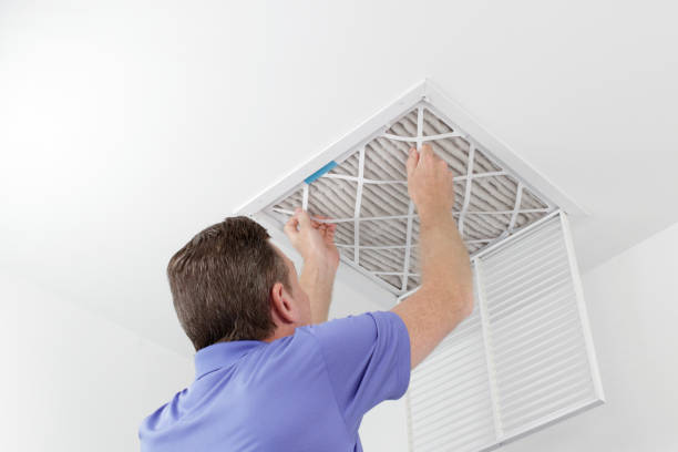 Best Duct Cleaning Specialists  in Schler Park, IL